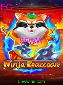 NinjaRaccoon